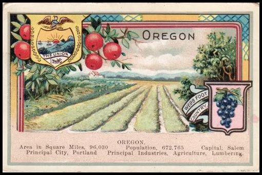 36 Oregon